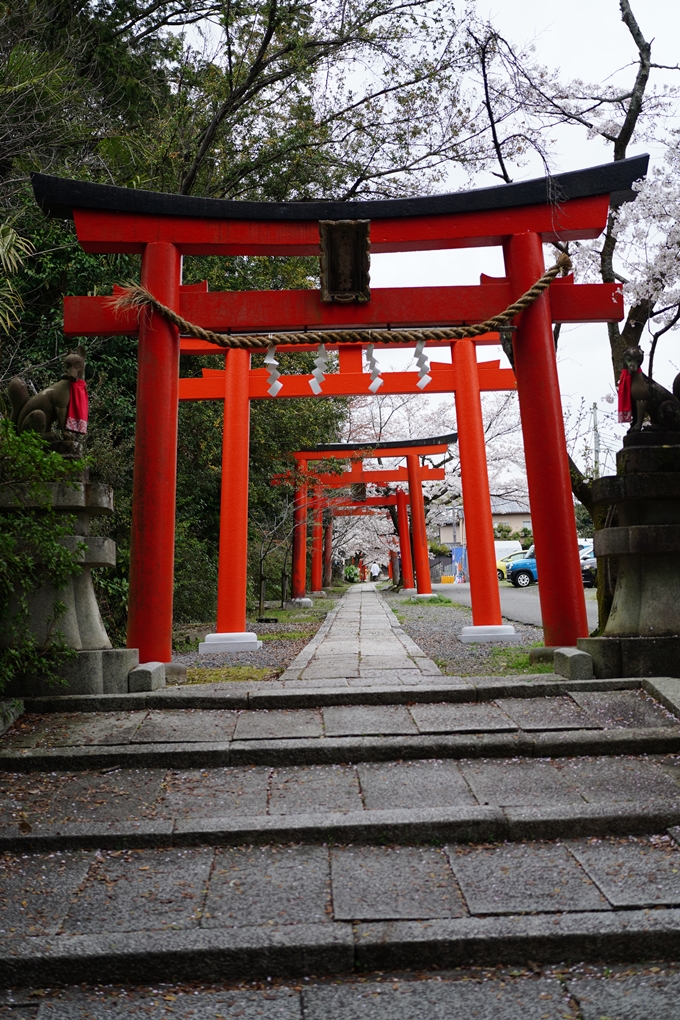 真如堂_金戒光明寺_岡崎神社_2024　No12