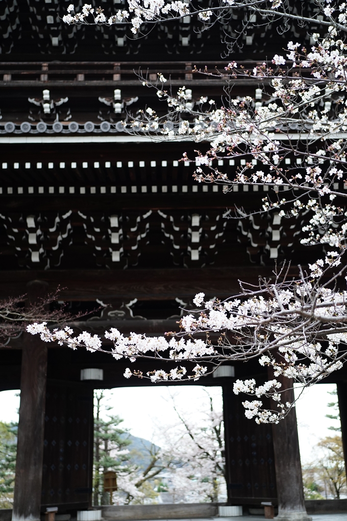 真如堂_金戒光明寺_岡崎神社_2024　No16