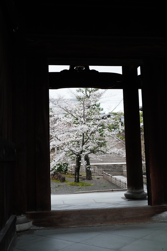 真如堂_金戒光明寺_岡崎神社_2024　No17