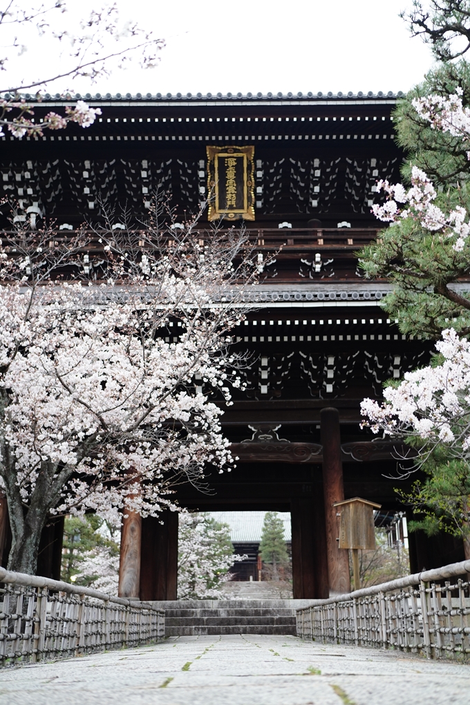 真如堂_金戒光明寺_岡崎神社_2024　No18