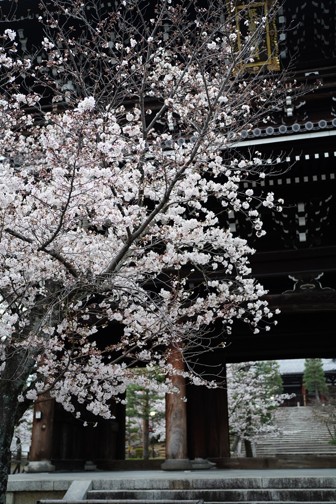 真如堂_金戒光明寺_岡崎神社_2024　No19