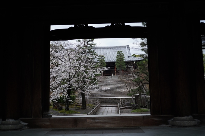 真如堂_金戒光明寺_岡崎神社_2024　No20