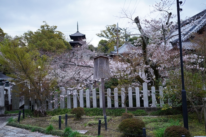 真如堂_金戒光明寺_岡崎神社_2024　No21